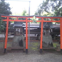 境内には、鳥居と祠が並べられています。神社には珍しい形態です