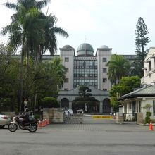 南国の風情がある