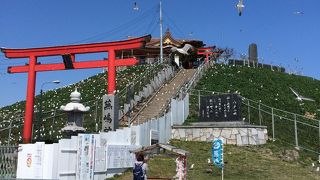 ウミネコの大群に圧倒されました