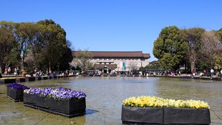 縁に座って寛いでいます