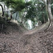 神奈川県の城跡巡り：小田原城跡、総構えの遺構を