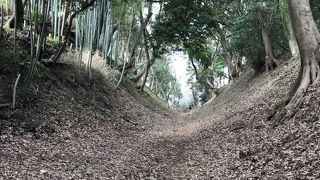 神奈川県の城跡巡り：小田原城跡、総構えの遺構を