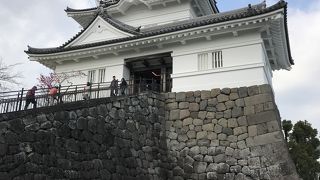 小田原城跡：小田原城址公園、近代的な建物ばかり