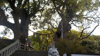 神社の中には