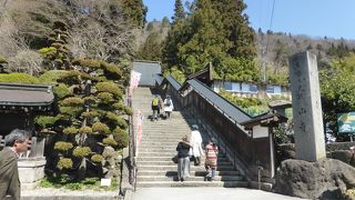 見どころがたくさんありました