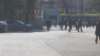 裏庭には・・・・