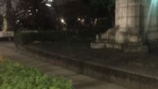 桜の名所の小さな公園