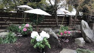 和風庭園調のぼたん園にうっとり