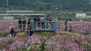 はるばる来た甲斐があった！