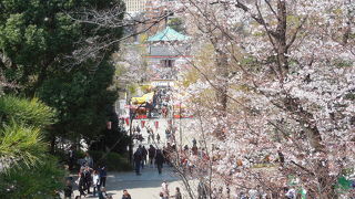 お花見シーズンのため観光客がかなり多かった