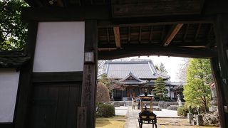 由緒あるお寺でお花見