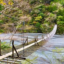 吊り橋はけっこう揺れます