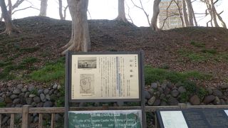 偶然見つけました