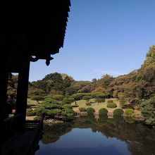池越しに見る日本庭園