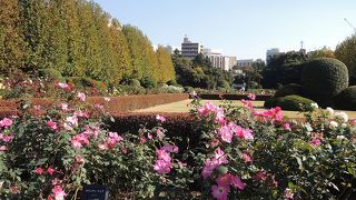 四季折々の花々や草木を楽しめます
