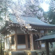 石神井公園のそば、見事な枝ぶりの桜がある神社です