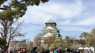 いつでも賑やか！