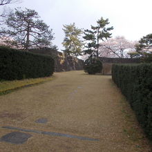 天守台の石垣です。