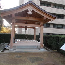 今の様子です。