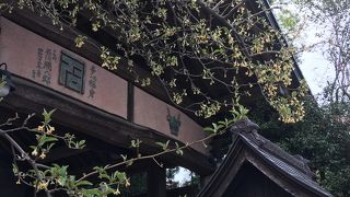 幼児と一緒でも気兼ねすることなくお食事を楽しむことができます!!!