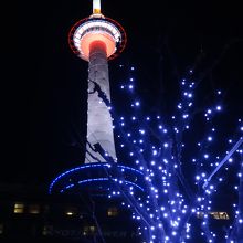 ツリーイルミとおコラボ