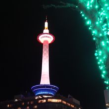 グリーンのイルミも映える