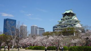 有料エリア。桜が綺麗