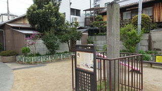 抱いていたイメージとは異なりました