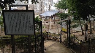 渋谷氷川神社の例祭