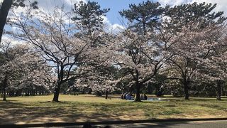 向山緑地公園