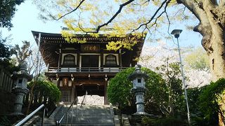 桜の季節は良い雰囲気です。