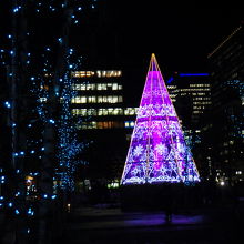 冬季はイルミネーションが