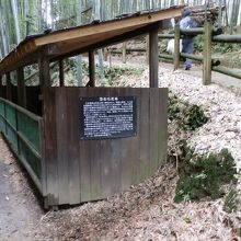 「亀形石造物遺構」側から酒舟石へ向いました。