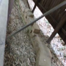 「日本書紀」の斉明二年の条に記されている石垣です。