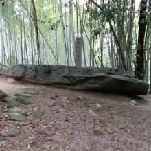 昔、酒の醸造に使用されたという言い伝えから酒船石と言われる