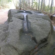 酒を造ったのではないか、薬の製造に使ったのではないか