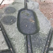 酒船石が置かれている所は小高い丘の上、廻りは竹林です。