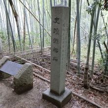 明日香を代表する謎の石造物です。