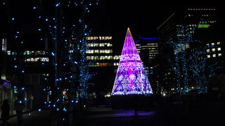 大規模野外イベントに