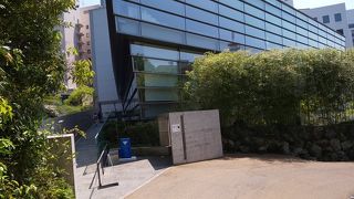 展示内容の掘り下げを期待