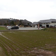 田んぼの向うに見える建物は飛鳥寺です。