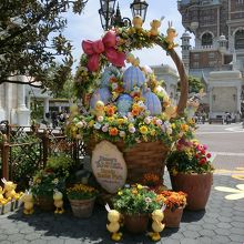 TDSの花たち（その３）