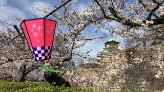 ゆっくりと大阪城の桜を楽しめる