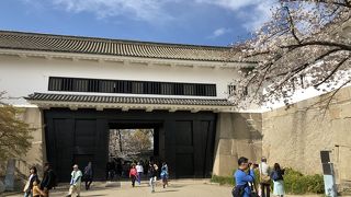 入ってみたかった！