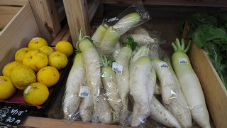 地図をもらいました