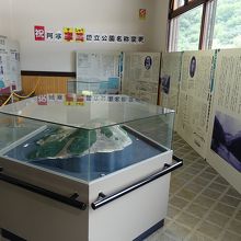 こんな展示コーナーも