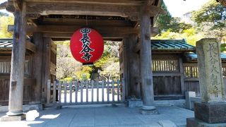 四季の植物と相模湾の絶景を