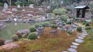 冬の半夏生の庭は。。