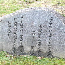 立ちて思ひ居てもそ思ふ紅の赤裳裾引き去にし姿を