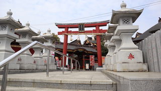 茨城県稲敷市の大杉神社にお参りしてきました